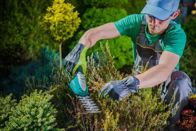 landscaping services Ventress